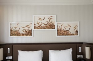 Hilton Hyde Park